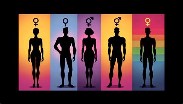 Genders, Gscteen