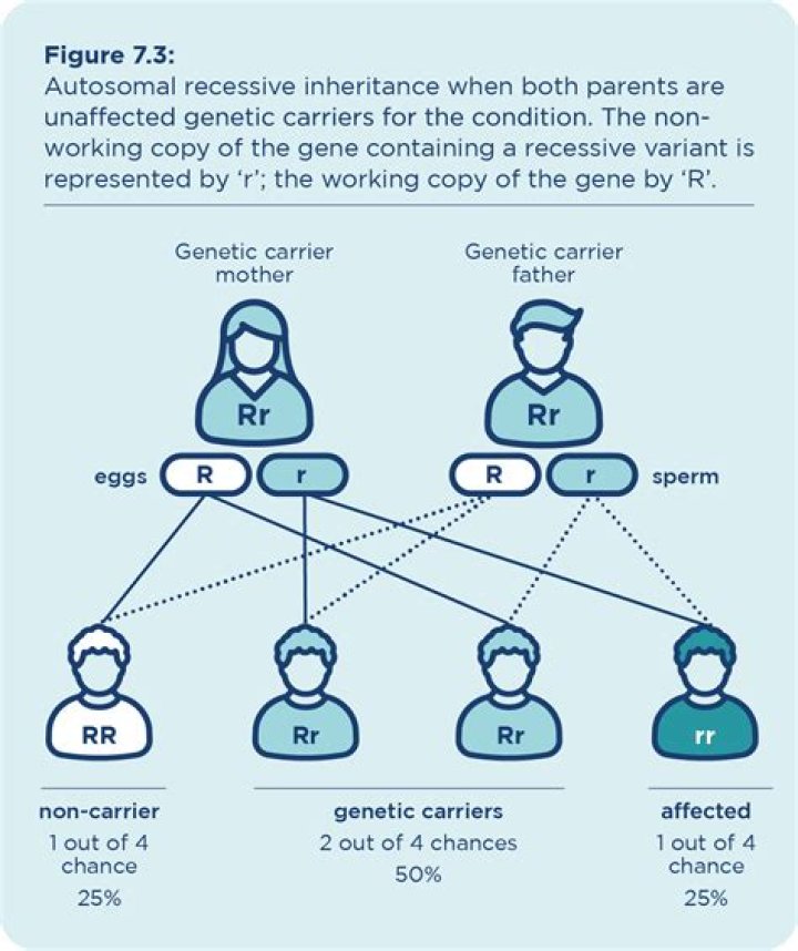 Genetic Trait, Gscfour