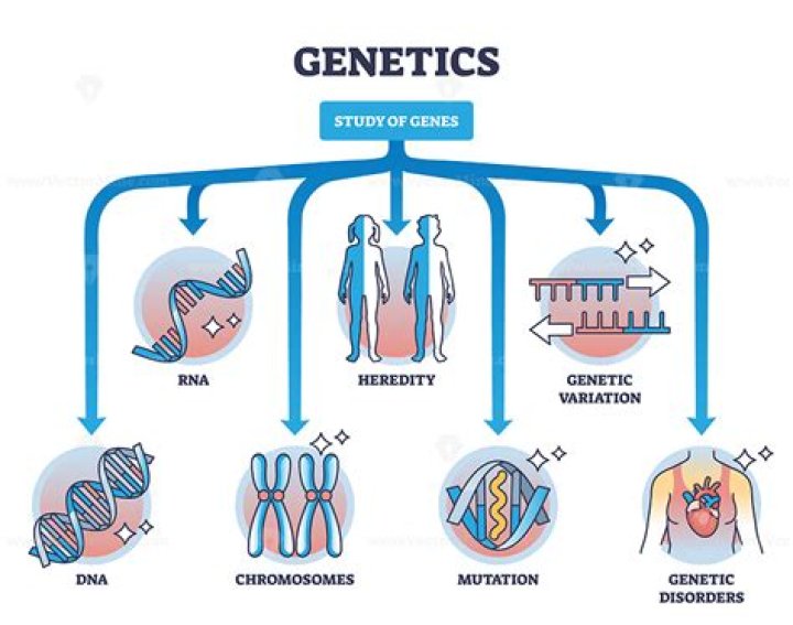 Genetics And Growth, Gscseven