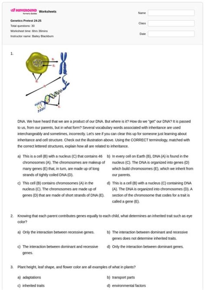 Genetics, Gscthree