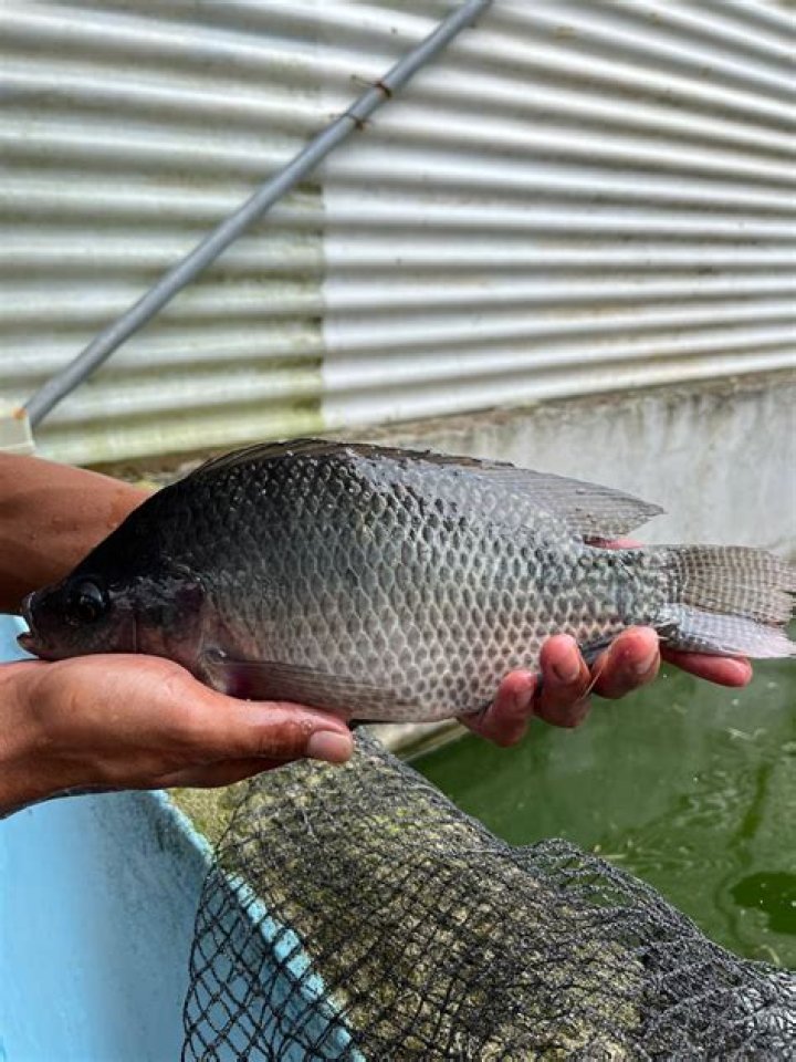 Group photo at Tilapia Hatchery Centre