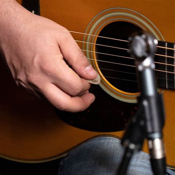 Guitar De-noise Pick
