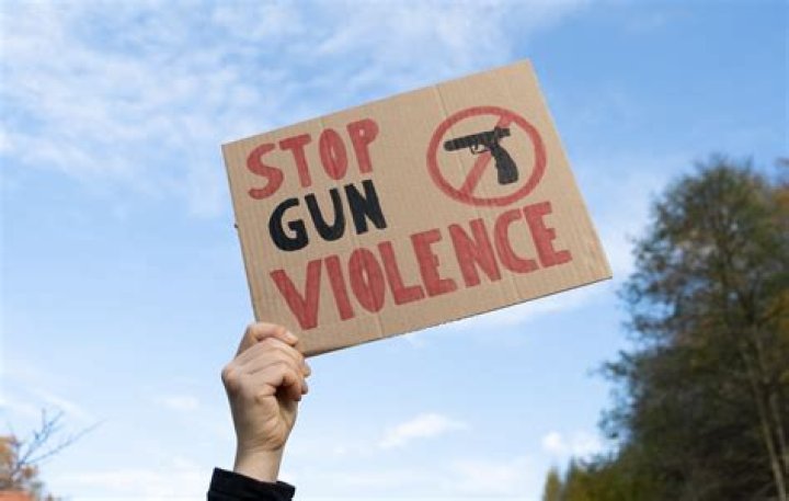 Gun Violence, Gscsix