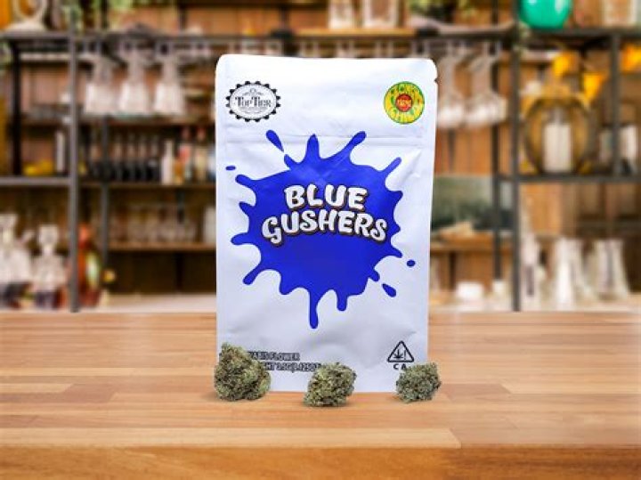 Gushers Cannabis Strain Information & Review - Ilgm - Lsd Weed Strain