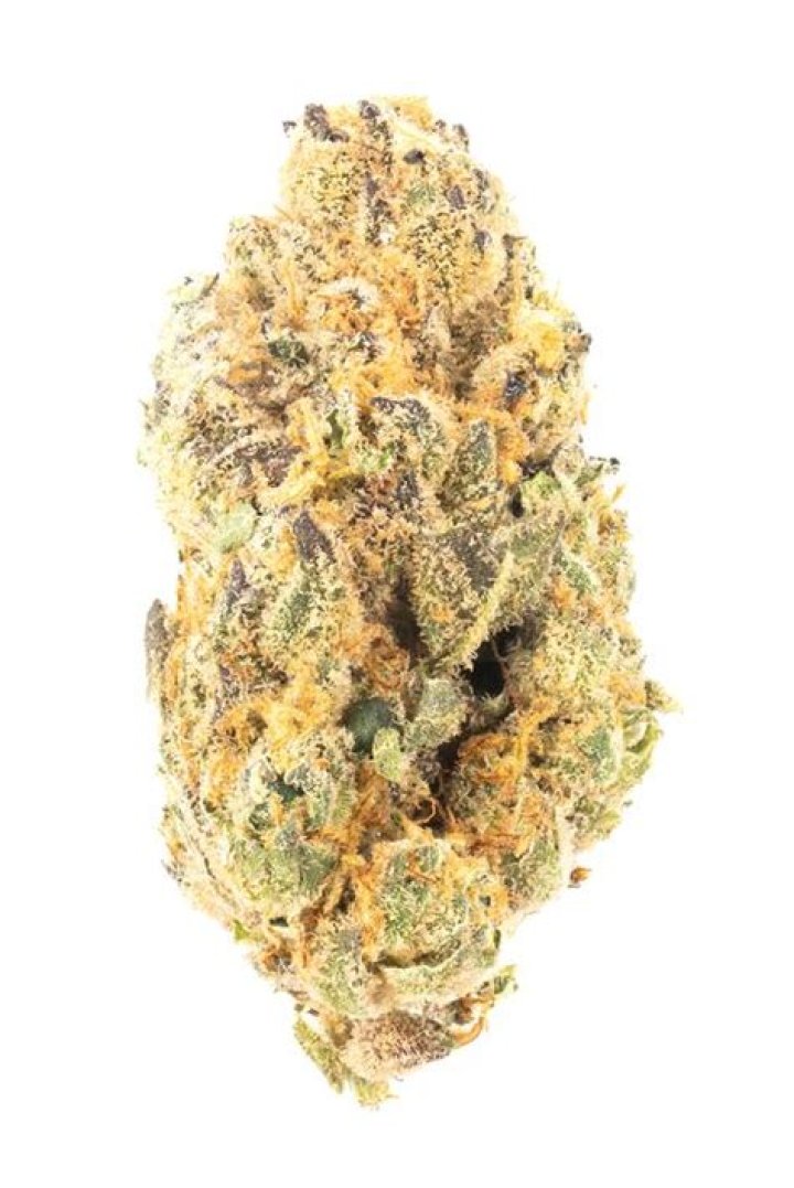 Gushers Strain - Hybrid Cannabis Video Review : Hytiva - Skittles Weed Strain