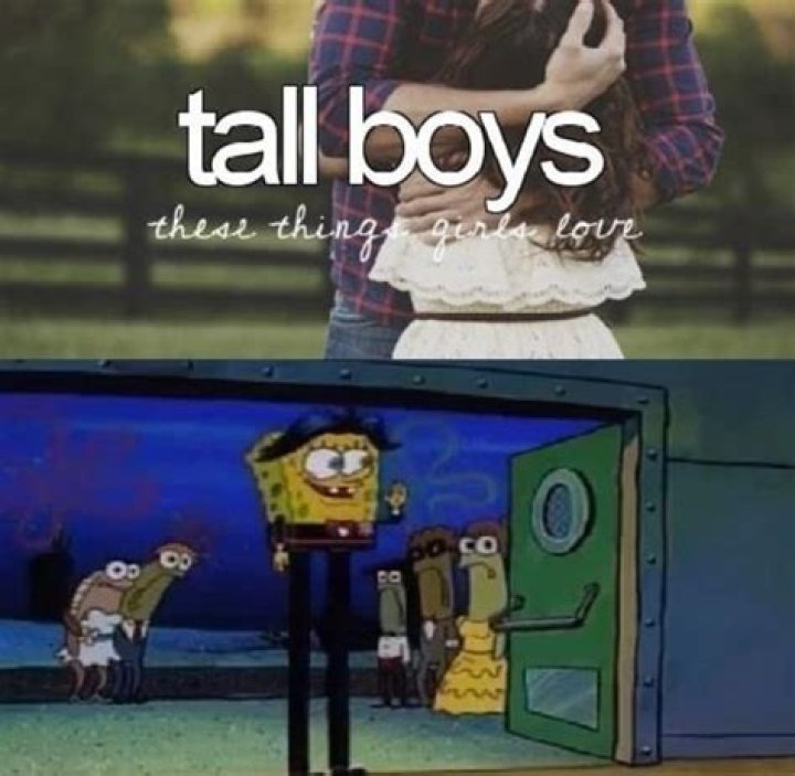 Hah! Tall tan and handsome! Spongebob funny, Spongebob, Funny