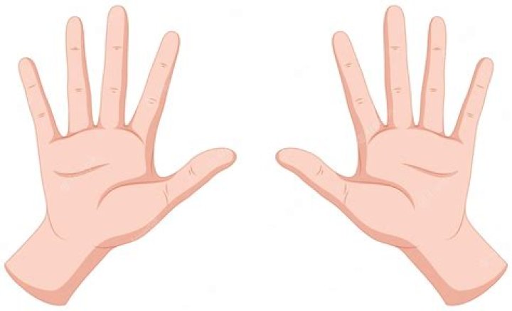 hands hands
