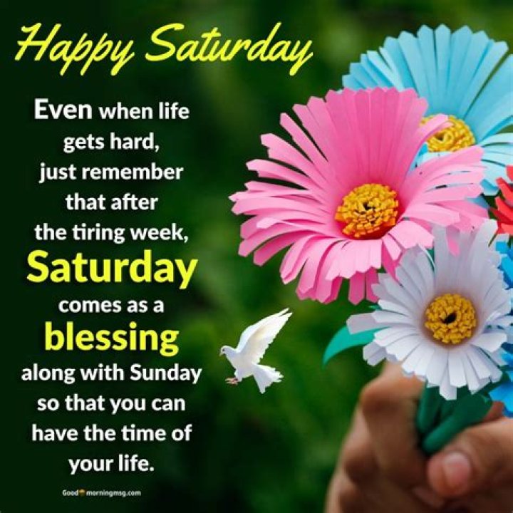 Happy and blessed saturday Saturday greetings, Happy saturday quotes
