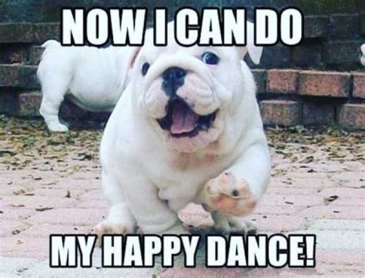 Happy Dance Meme IdleMeme