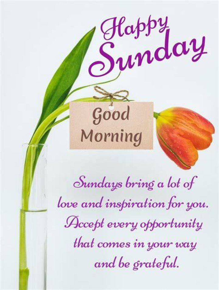 Happy Sunday Messages, Happy Sunday Pictures, Good Morning Sunday