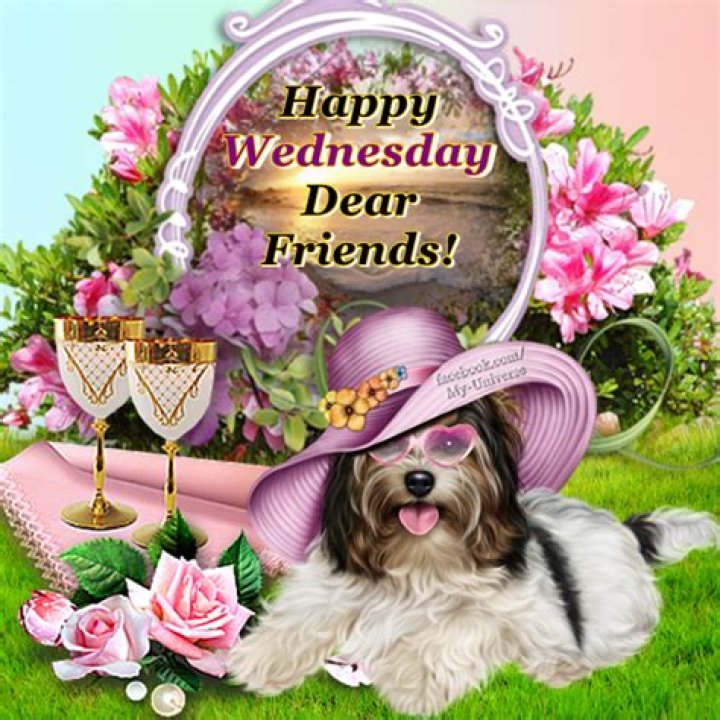 Happy Wednesday Dear Friends Pictures, Photos, and Images for Facebook
