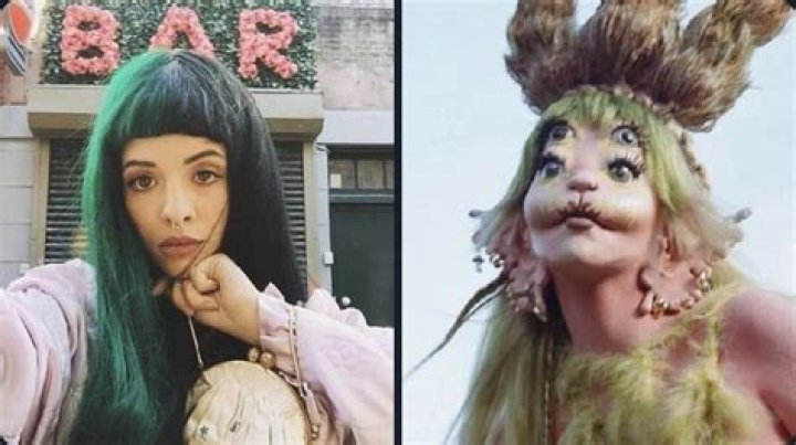 Has Everyone That Melanie Martinez Was Accused of Rape