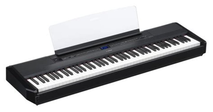 Has Pan Piano Revealed Her Face Her Real Name, Age, And Know More