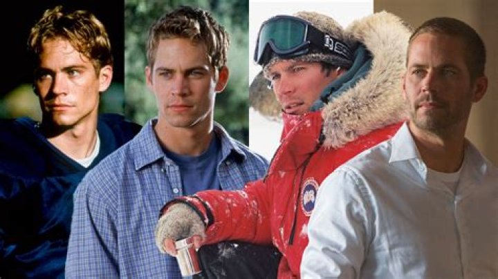 Has Paul Walker's Ex Girlfriend, Jasmine PilchardGosnell Moved On?