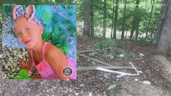 Has Summer Wells Been Found Dead? Discover The Mystery of The