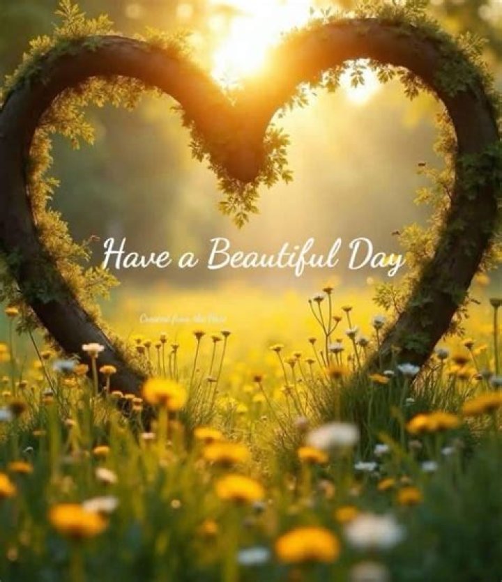 Have a beautiful day Happy morning quotes, Funny good morning quotes