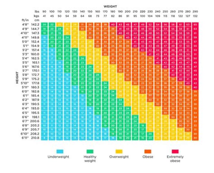 Healthy Weight Range, Webshubz