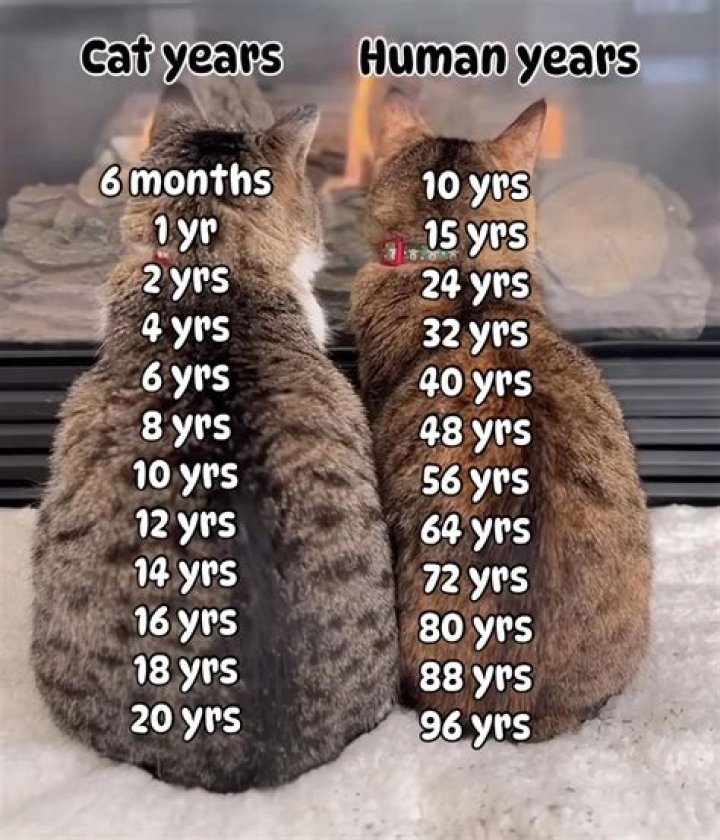 Heembeezy Age: How Old Is Heembeezy?