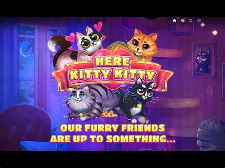 Here, Kitty, Gscfour