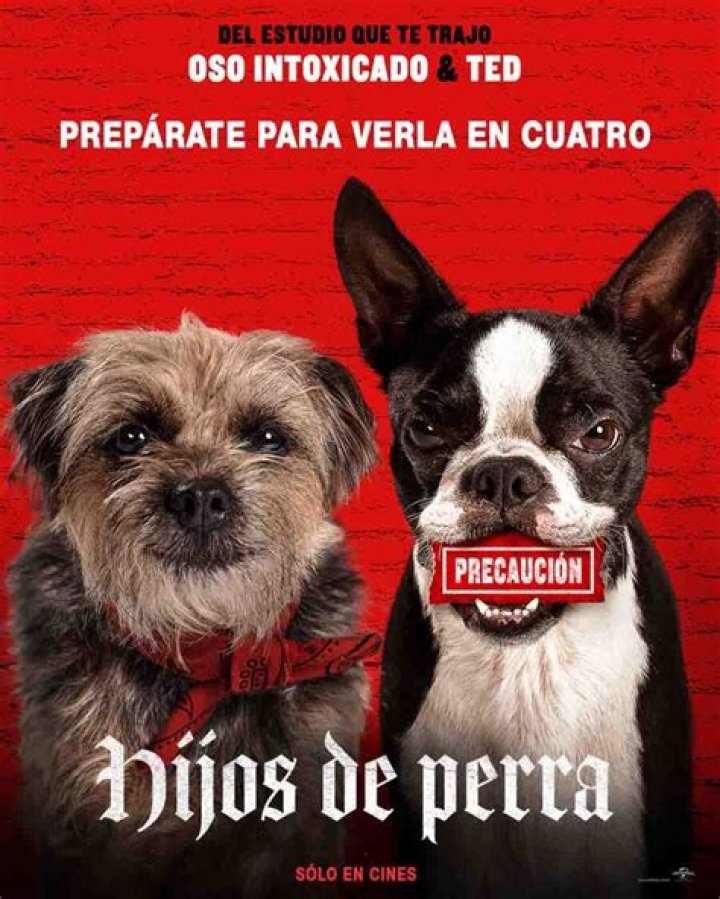 Hijos de perra Pel&iacute;cula La Cartelera
