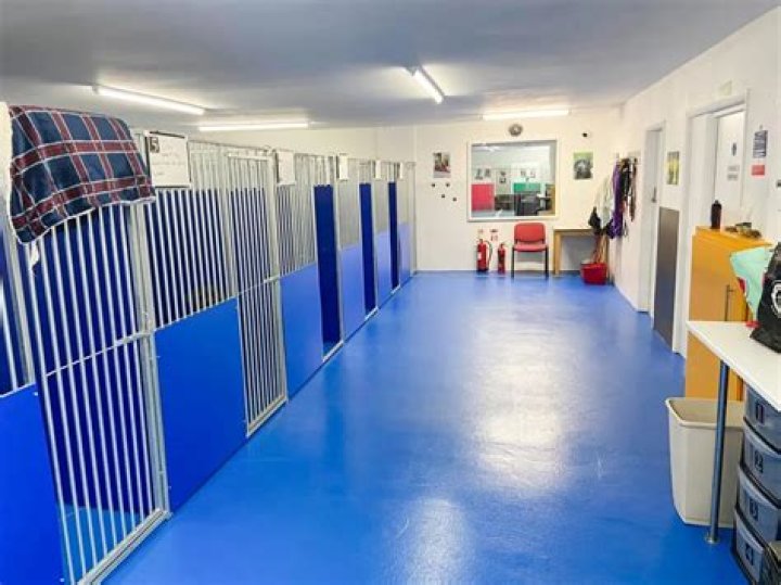 Holiday Boarding Kennels