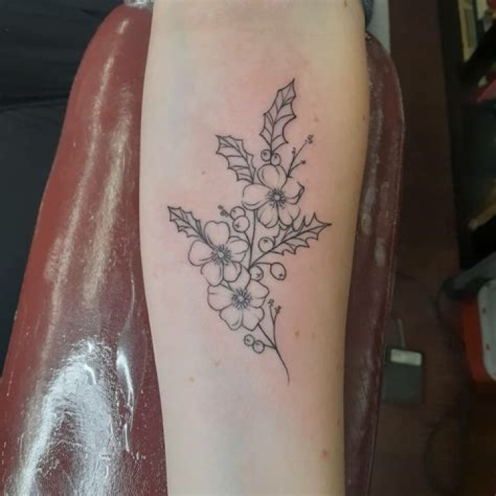Holly Tattoos, set of 2 Curiosa Purveyors of Extraordinary Things