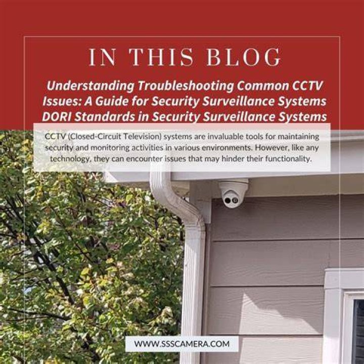 Home Video Monitoring Service Delaware