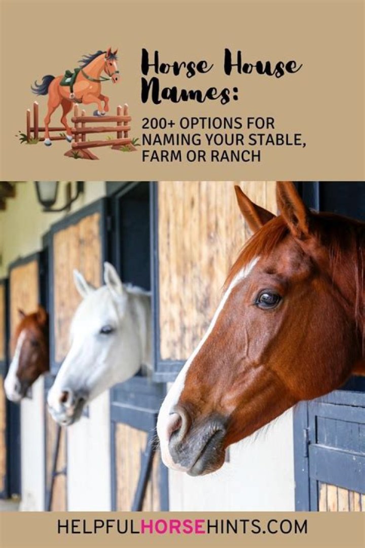 Horse Barn Name Ideas 8x10x12x14x16x18x20x22x24 Josep