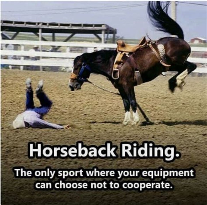 Horse horsebackriding horseback riding captions Inspirational