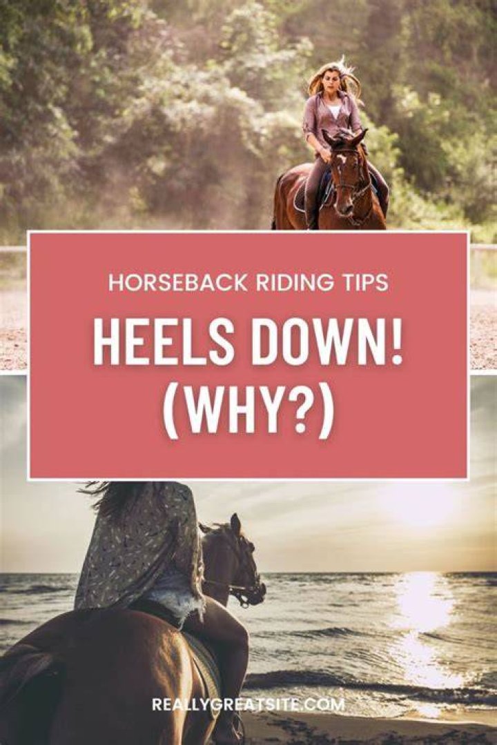 Horseback Riding Tips, Horse Riding Tips, Horseback Rider, Trail Riding