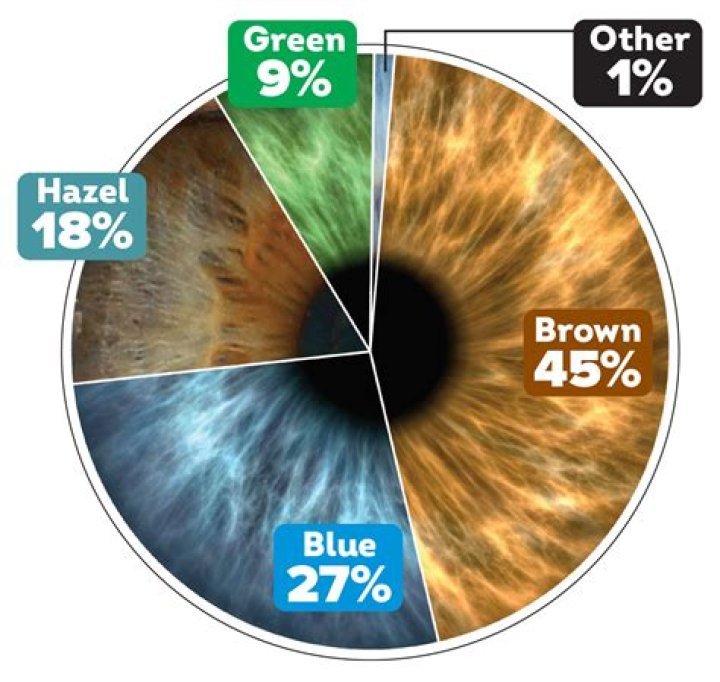 How Many Eye Colors Ranked By Rarity Moseng
