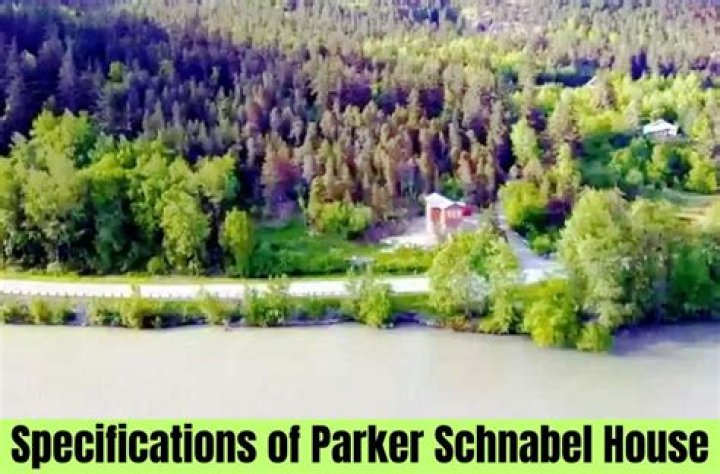 How Much Is Parker Schnabel Worth on Gold Rush EcoPolitical January