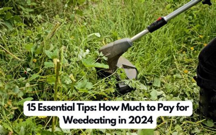 How Much To Pay For Office Cleaning?
