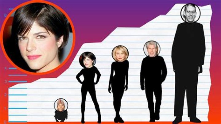 How Tall Is Selma Blair? Height Comparison! YouTube