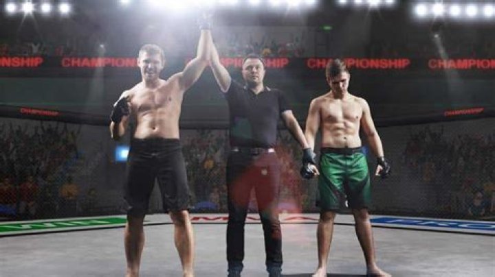 How to become a ufc referee