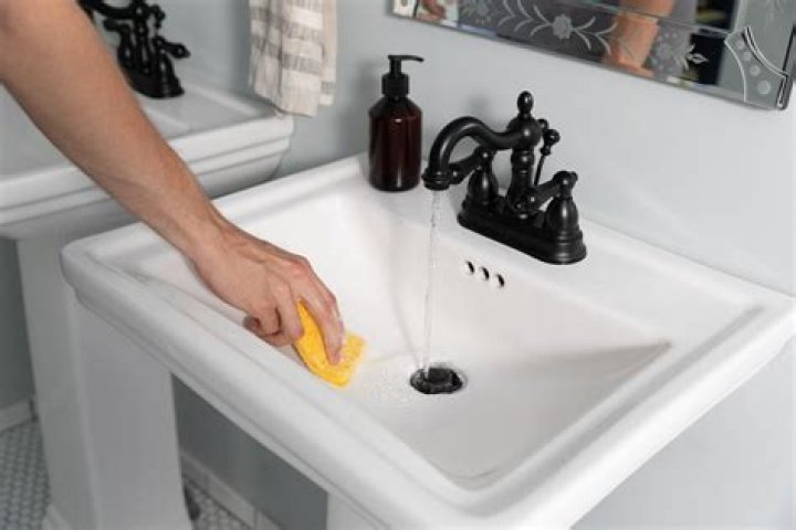 How To Clean In Sink Erator Nerveaside16