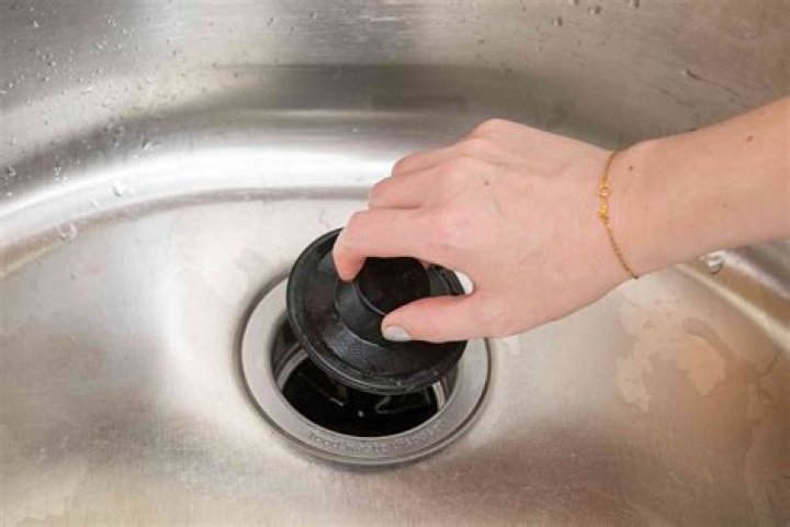 How To Clean Out Garbage Disposal Goalrevolution0