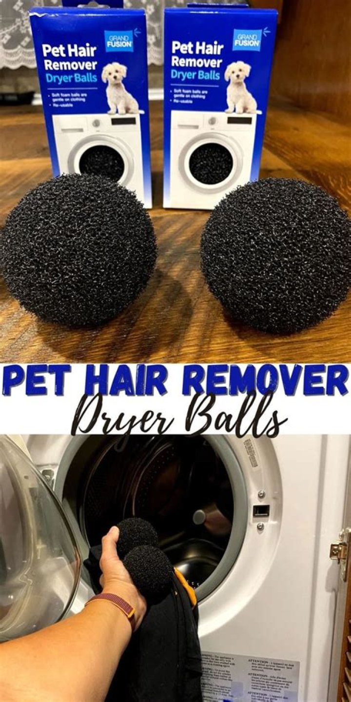 How To Get Pet Hair Off Blankets If You Dont Have Drywr