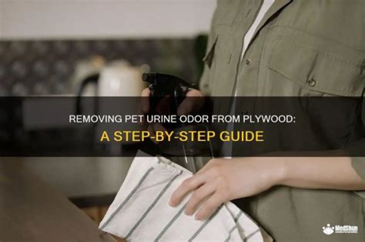 How To Get Pet Urine Smell Out Of Blankets