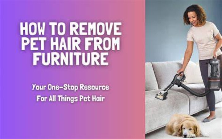 How To Remove Pet Hair From Blankets