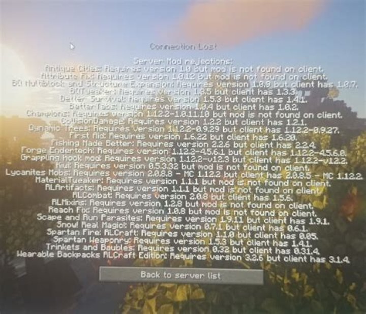 i cant join my rlcraft server because the modpack got an update Mods