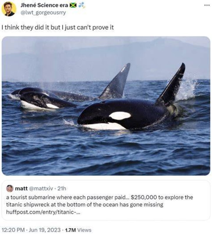 I think they did it but I just can't prove it OceanGate Titanic