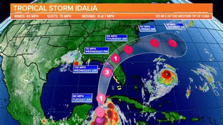 IDALIA
