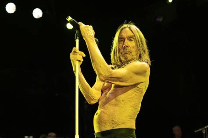 Iggy Pop Net Worth