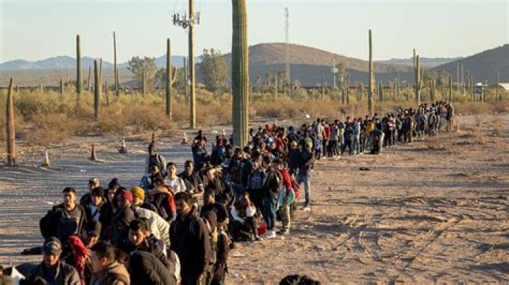 Immigrant, Gscteen
