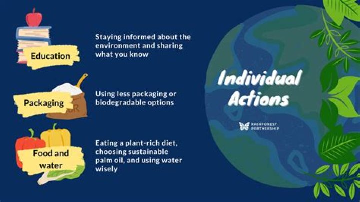 Impact On Individuals, Webshubz