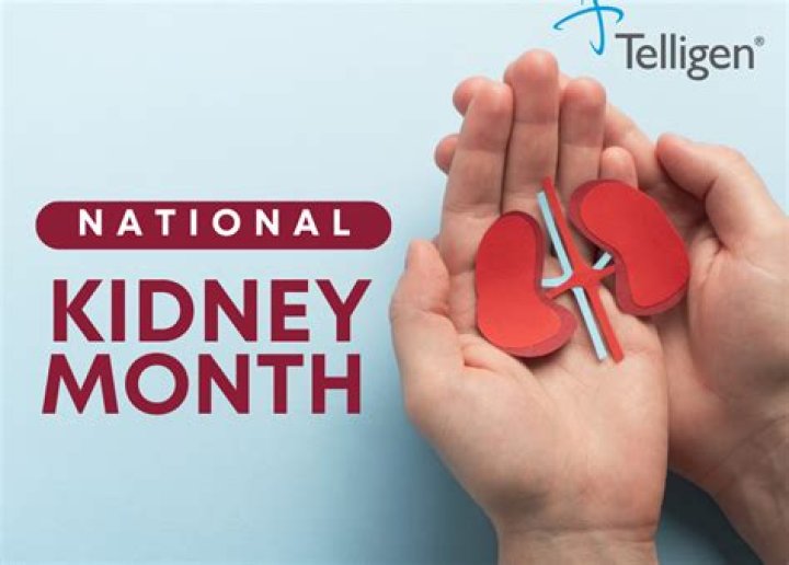 In Other News National Kidney Foundation