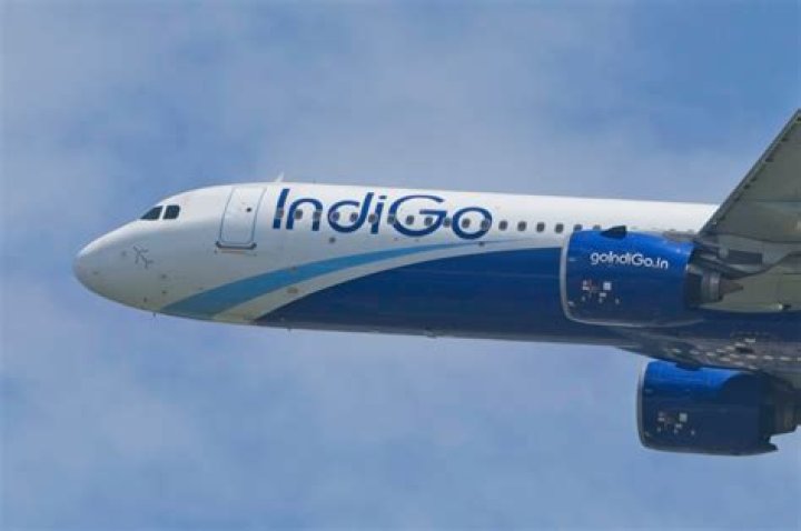 Indigo Barreto Strong, 4 Things About Indigo