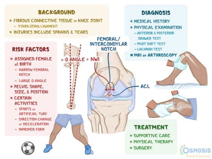 Injury, Globalinsightnet
