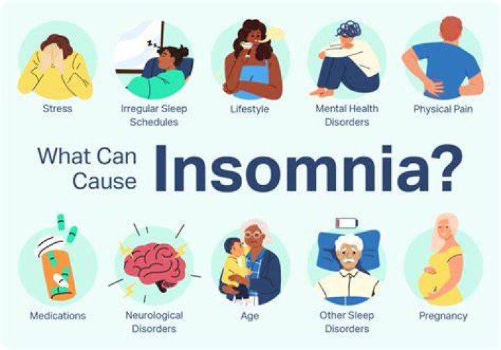 Insomnia 2
